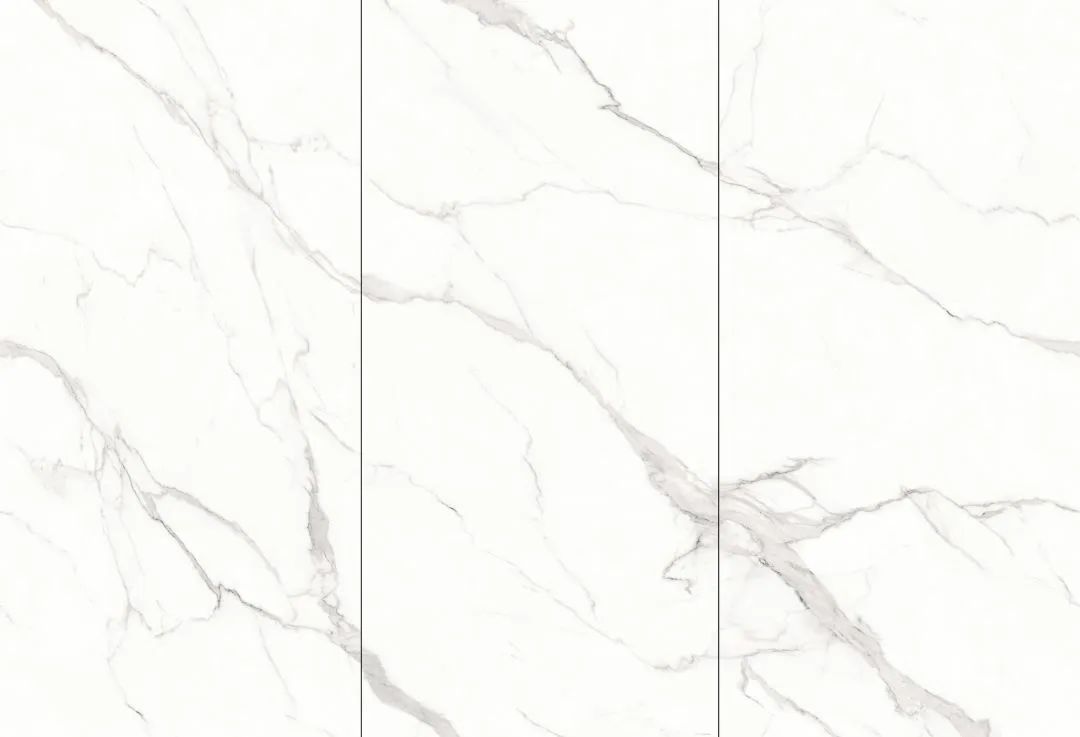 【新品】奢華定制，1600x3200mm成就大宅風(fēng)范！(圖24)